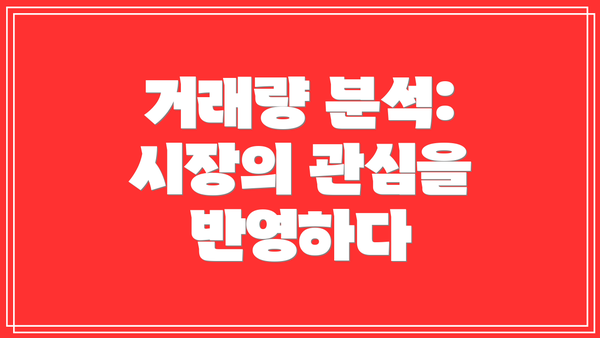 거래량 분석: 시장의 관심을 반영하다