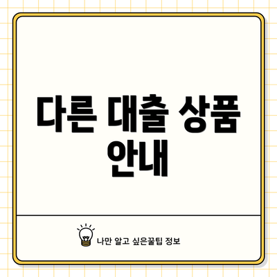 다른 대출 상품 안내