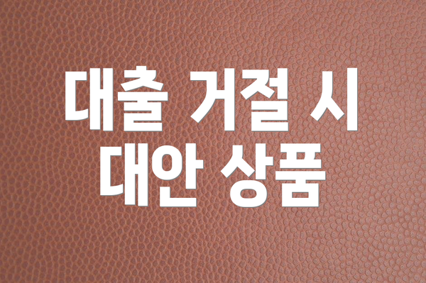 대출 거절 시 대안 상품