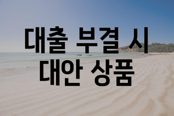 대출 부결 시 대안 상품