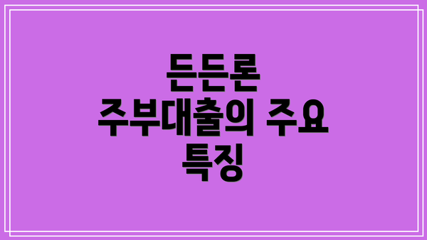 든든론 주부대출의 주요 특징