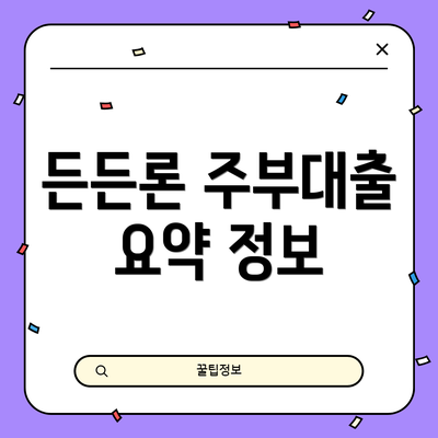 든든론 주부대출 요약 정보
