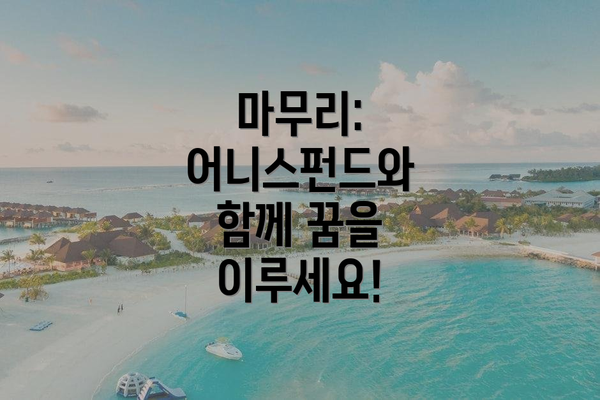 마무리:  어니스펀드와 함께 꿈을 이루세요!