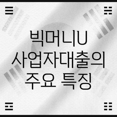 빅머니U 사업자대출의 주요 특징