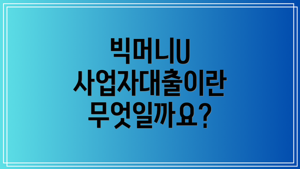 빅머니U 사업자대출이란 무엇일까요?