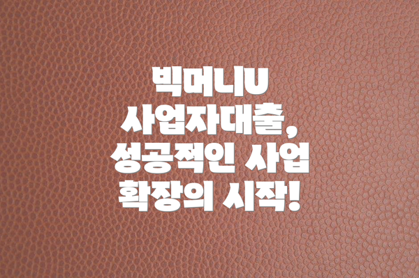 빅머니U 사업자대출, 성공적인 사업 확장의 시작!