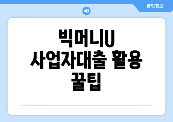 빅머니U 사업자대출 활용 꿀팁