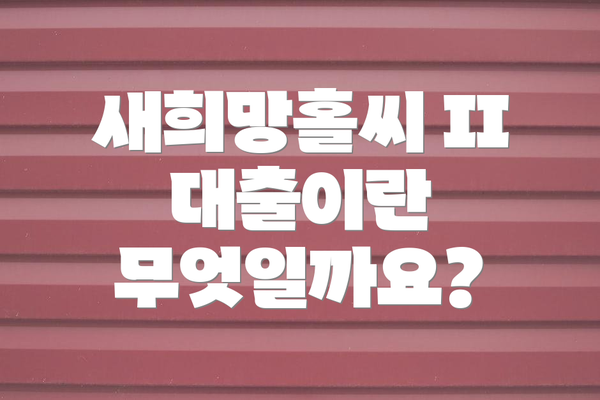 새희망홀씨 II 대출이란 무엇일까요?