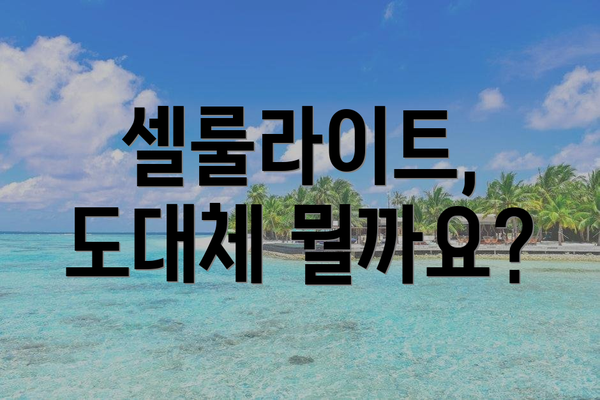 셀룰라이트, 도대체 뭘까요?