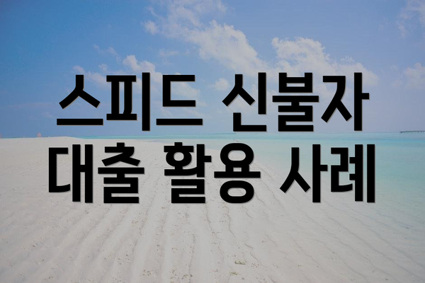 스피드 신불자 대출 활용 사례