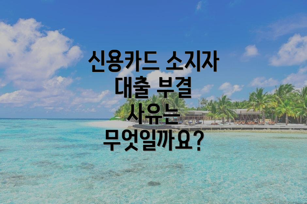 신용카드 소지자 대출 부결 사유는 무엇일까요?