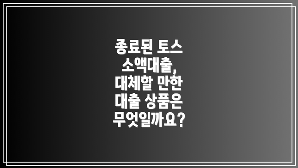 종료된 토스 소액대출, 대체할 만한 대출 상품은 무엇일까요?