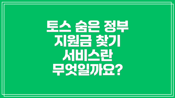 토스 숨은 정부 지원금 찾기 서비스란 무엇일까요?