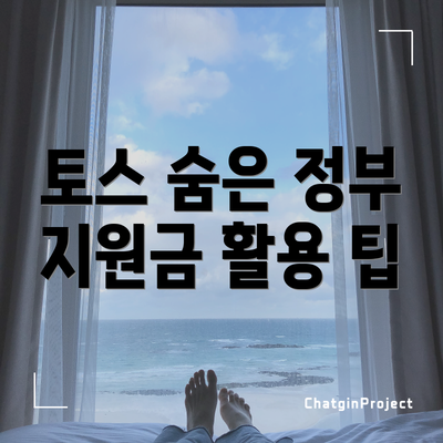 토스 숨은 정부 지원금 활용 팁