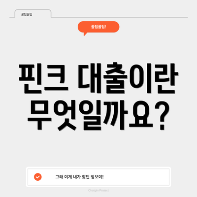 핀크 대출이란 무엇일까요?