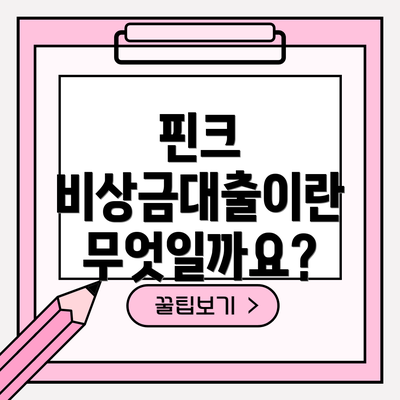 핀크 비상금대출이란 무엇일까요?