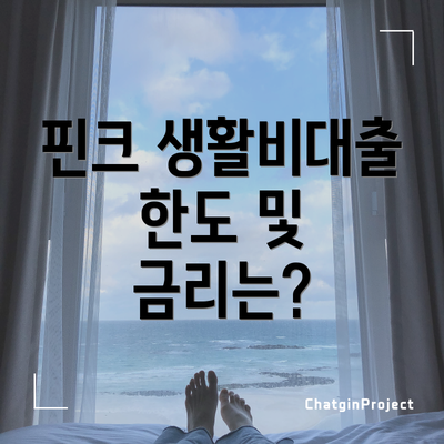 핀크 생활비대출 한도 및 금리는?