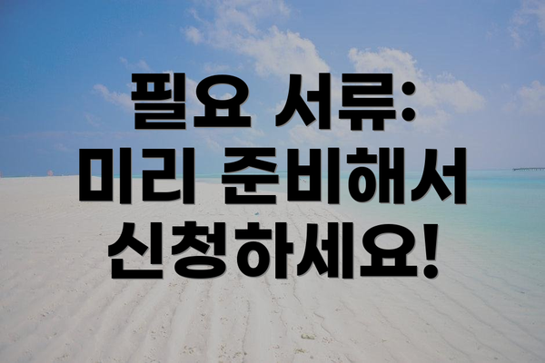 필요 서류: 미리 준비해서 신청하세요!