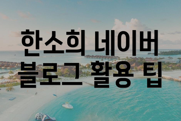 한소희 네이버 블로그 활용 팁