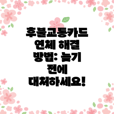 후불교통카드 연체 해결 방법: 늦기 전에 대처하세요!