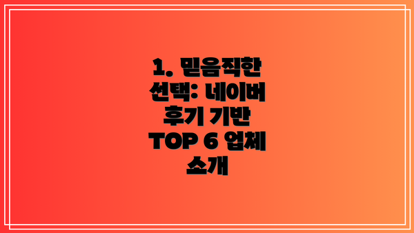 1. 믿음직한 선택: 네이버 후기 기반 TOP 6 업체 소개