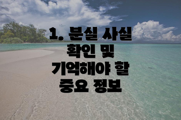 1. 분실 사실 확인 및 기억해야 할 중요 정보