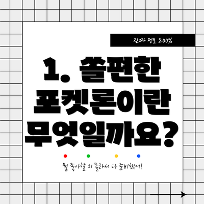 1. 쏠편한 포켓론이란 무엇일까요?