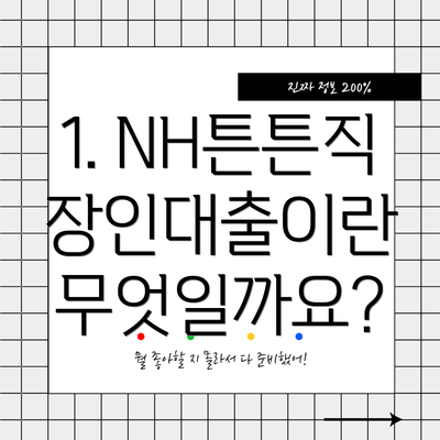 1. NH튼튼직장인대출이란 무엇일까요?