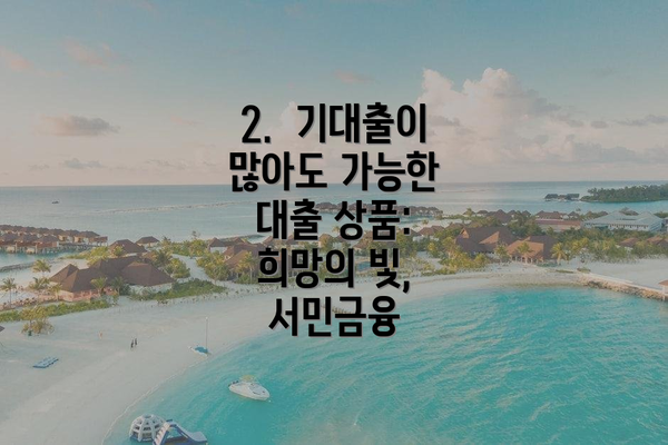 2.  기대출이 많아도 가능한 대출 상품: 희망의 빛, 서민금융