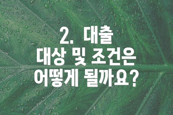 2.  대출 대상 및 조건은 어떻게 될까요?