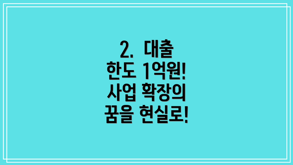 2. 대출 한도 1억원! 사업 확장의 꿈을 현실로!