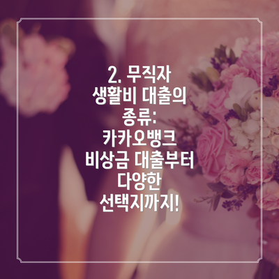 2. 무직자 생활비 대출의 종류: 카카오뱅크 비상금 대출부터 다양한 선택지까지!