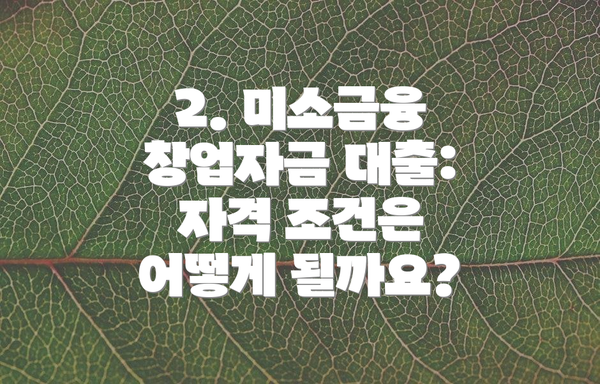 2. 미소금융 창업자금 대출: 자격 조건은 어떻게 될까요?