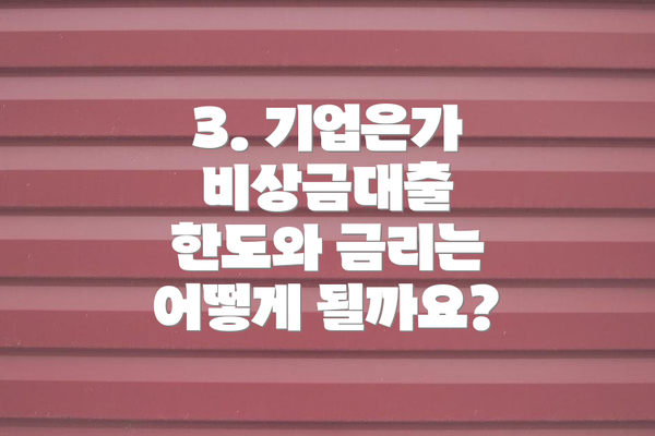 3. 기업은가 비상금대출 한도와 금리는 어떻게 될까요?
