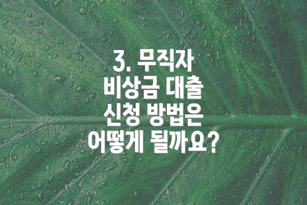 3. 무직자 비상금 대출 신청 방법은 어떻게 될까요?