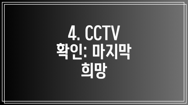 4. CCTV 확인: 마지막 희망