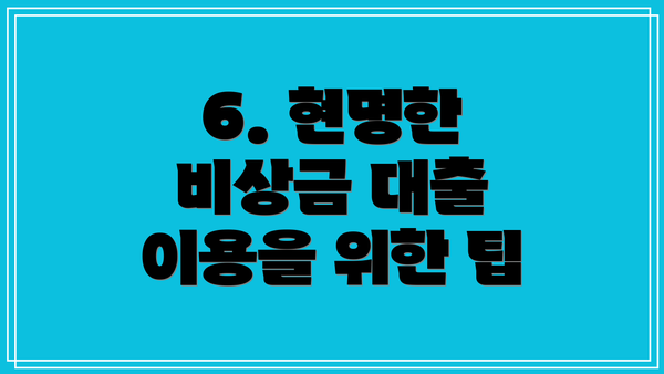6. 현명한 비상금 대출 이용을 위한 팁
