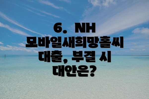 6.  NH 모바일새희망홀씨 대출, 부결 시 대안은?