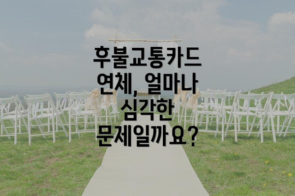 후불교통카드 연체, 얼마나 심각한 문제일까요?