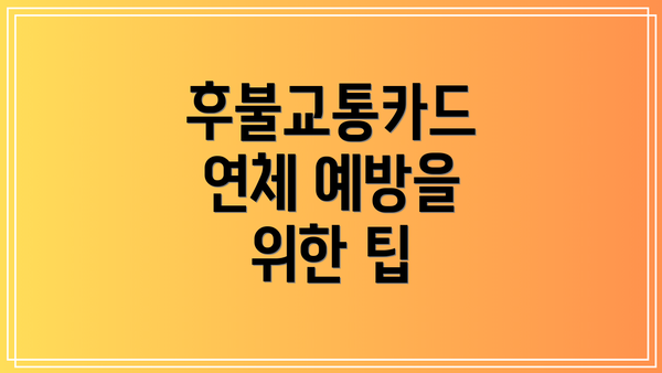 후불교통카드 연체 예방을 위한 팁