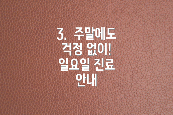 3.  주말에도 걱정 없이! 일요일 진료 안내