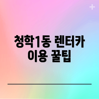 청학1동 렌터카 이용 꿀팁
