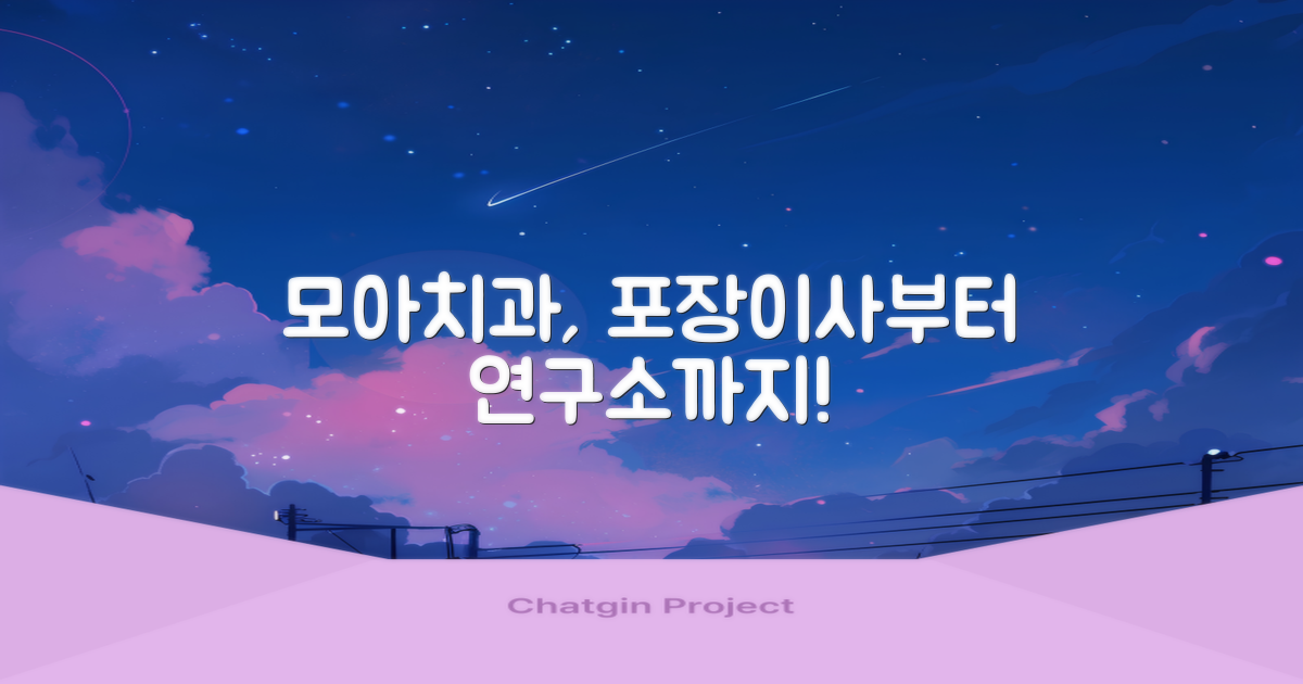 포장이사부터 연구소까지, 모아치과를 만나세요!