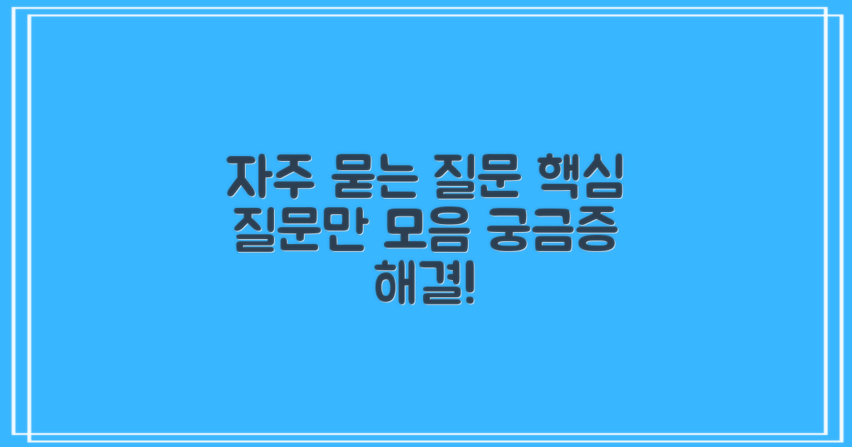 자주 묻는 질문