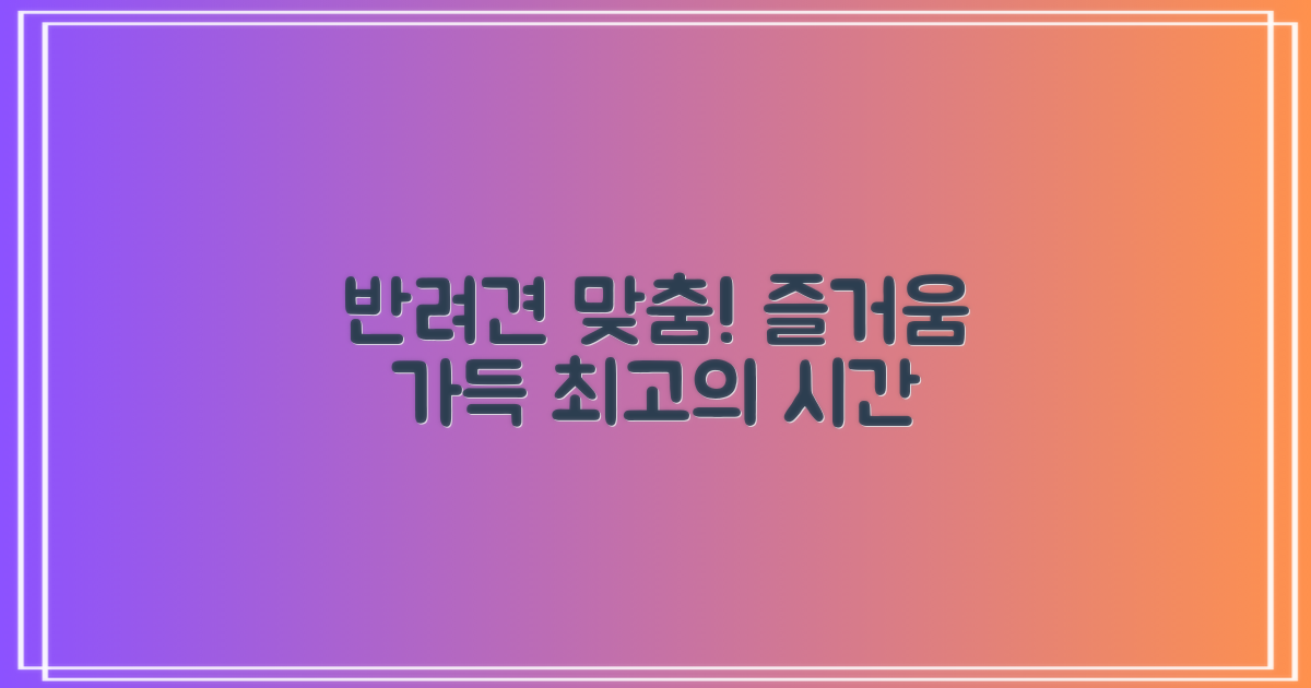 반려견 맞춤 즐거움 가득!