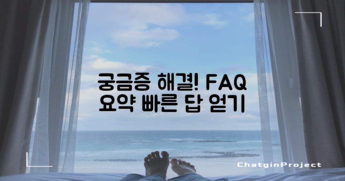자주 묻는 질문